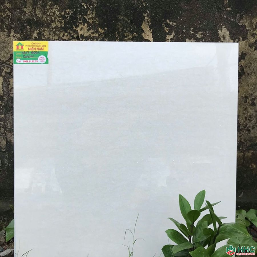 Gạch lát nền catalan 60x60 K176065